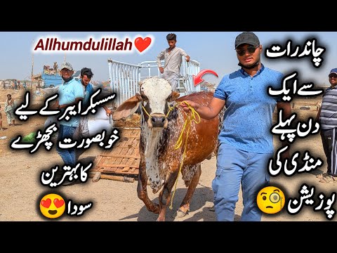 1 Day Left 💔 In Northern Bypass Mandi || Allhumdulillah Subscriber K Liye Bhetreen Soda Karliya 😍