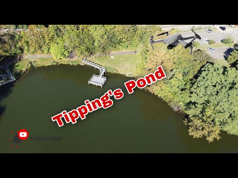 Tipping's Pond Pennsauken NJ (2.7K Footage) #turtle #drone #pond