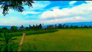 Download lagu Pemandangan indah-Suling sunda merdu:) mp3