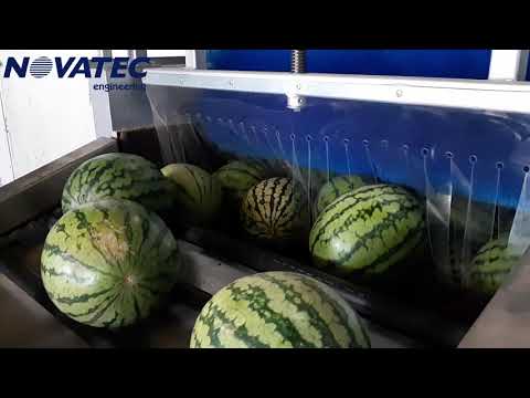 Novatec S.A. - Processing Line for Watermelons & Melons