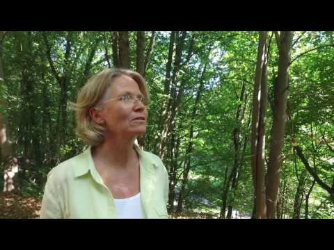 Mehr Lebensqualität dank der Kleinschen Felder