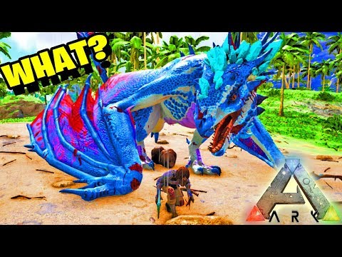 TÆMMER MIN EGEN DRAGE!? Dansk ARK Med ComKean #4