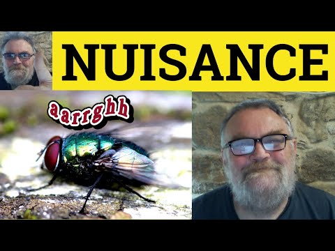 😎 Nuisance Meaning - Nuisance Definition - Nuisance Examples - Nuisance