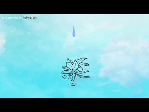 Cultura Profética - Viértele Flor (Audio Oficial)