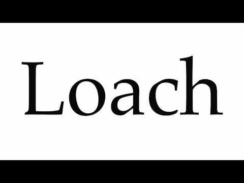 How to Pronounce Loach