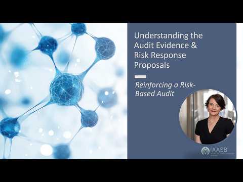 Reinforcing a Risk-Based Audit