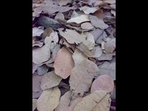 Rafeah Buang - Ya Illahi Rabbi (1982)