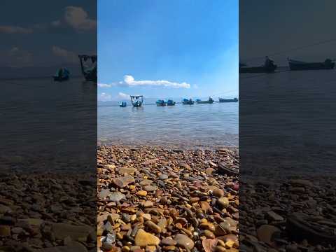 ☠️ Árboles tóxicos aquí, ¿Lo sabías? Playa Manzanillo 🇨🇷