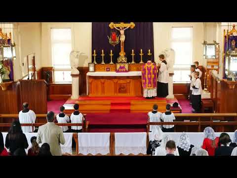 SSPXNZLIVE Livestream - 16 Feb. 2020 High Mass(Sexagesima Sunday)