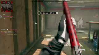 Coll of beauty modern warfare 2　バトパス終わったので使ってみる