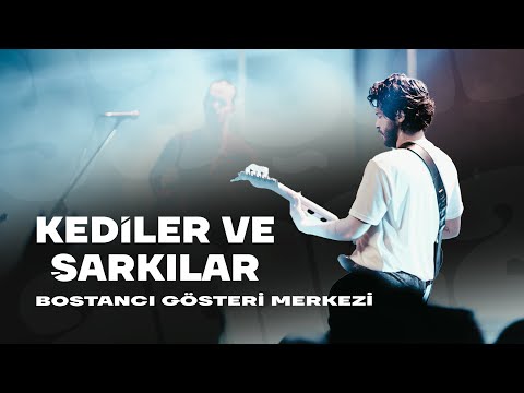 YAŞLI AMCA - Kediler ve Şarkılar | (Canlı Performans - BGM 2023) Official Video