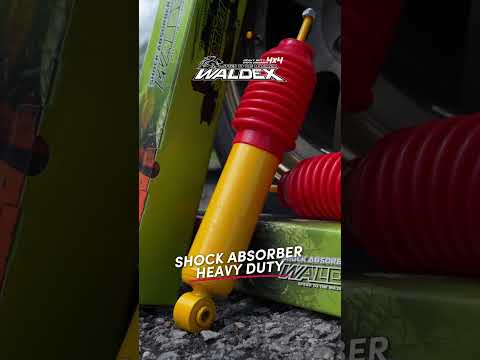 𝐖𝐚𝐥𝐝𝐞𝐱 | 𝐓𝐚𝐲𝐚𝐫 𝐒𝐭𝐚𝐧𝐝𝐚𝐫𝐝 𝐓𝐚𝐤 𝐂𝐮𝐤𝐮𝐩?