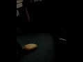 Liyashisa Nali Ivukane Madoda Khuphuka Lapho Nsimbi Mjz Iyeza ICD