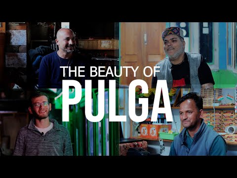 The Beauty of Pulga - A Travel Documentary Film (Himachal Pradesh)