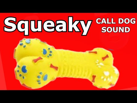 Dog Squeaky Toy -  Sounds to attract dogs  #prankyourdog #squeaky