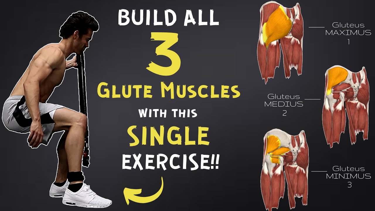Want Better Glutes..? HIT ALL 3 GLUTEUS MUSCLES with a SINGLE EXERCISE!! (Maximus, Medius, Minimus)