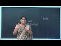 LKG Number Work Day 14 Missing Numbers 11 20