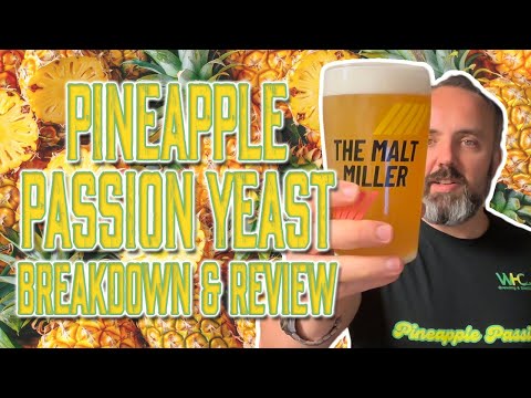WHC Lab Pineapple Passion Yeast Breakdown & Review 🍍 | Perfect for Brewing Fruity Beers?