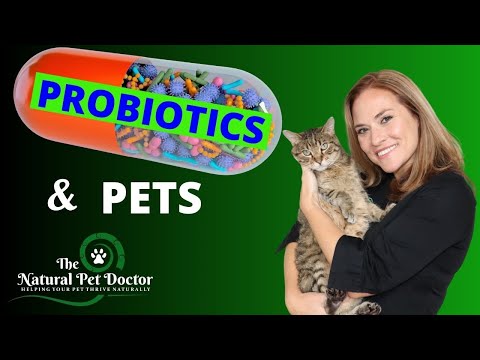 Probiotics and Your Dog and Cat with Dr. Katie Woodley - The Natural Pet Doctor