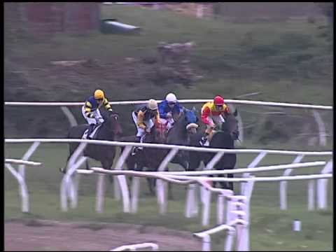 Galoppo 25/01/2015 - 1° corsa