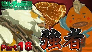 【BotW】自由！！ゼルダの伝説ブレスオブザワイルドPart18【実況】