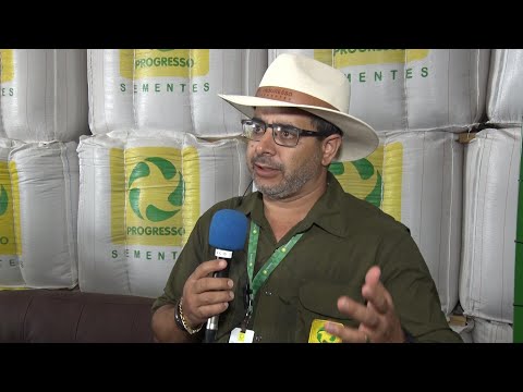 Fazenda Progresso se destaca como empreendimento do agronegócio e pecuária no Piauí 26 02 2022