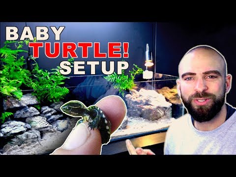 BABY TURTLE AQUARIUM SETUP || STEP BY STEP || MD FISH TANKS
