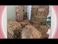 Bruidsgrap valt niet fijn: vijftig strobalen gedumpt in huis pasgetrouwd stel