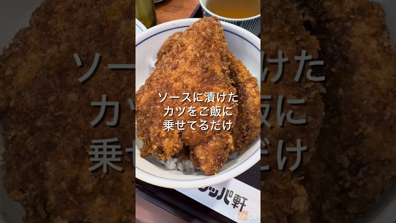【福井飯】一口で恋に落ちるソースカツ丼 #ソースカツ丼 #ヨーロッパ軒 #福井グルメ #食テロ #福井旅行 #shorts