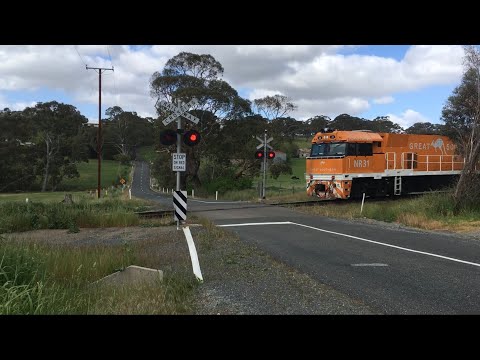 NR31 in Great Southern livery on The Overland at Altmanns Road, Balhannah