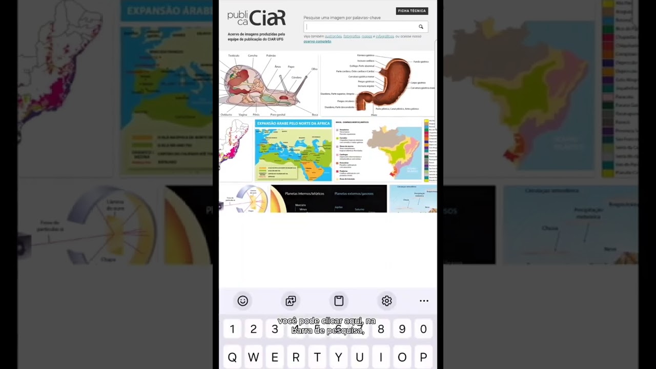 Tutorial acervos de imagens e materiais