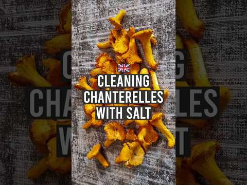Clean Chanterelles: Easy Mushroom Cleaning Method Revealed!