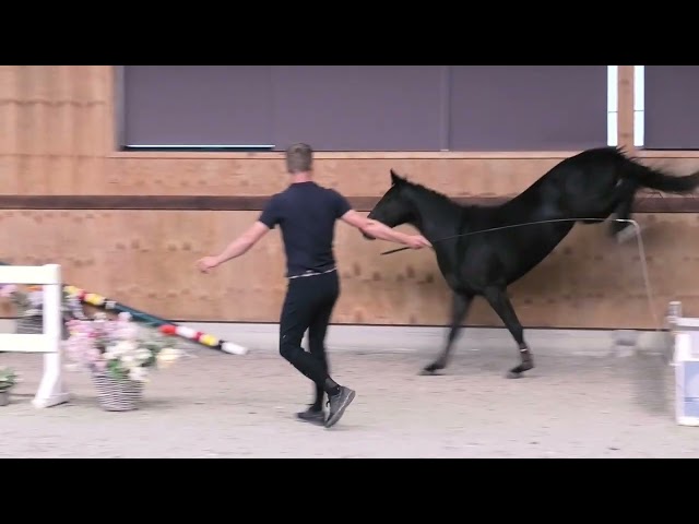 jumping