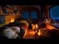 I Slept Even Deeper Here Cozy Winter Van Night With Fireplace Cat And Dog