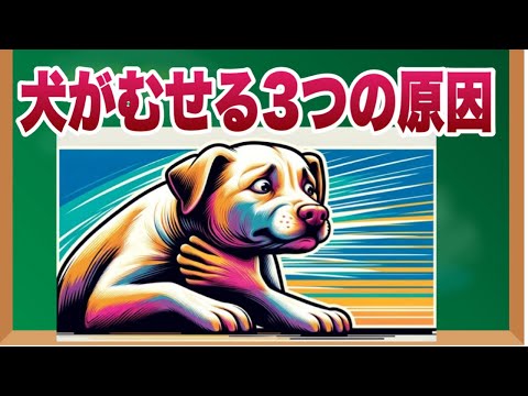 犬がむせる３つの原因【獣医師解説】