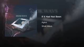 If It Had Not Been Music Video