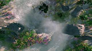 forest stream foggy day