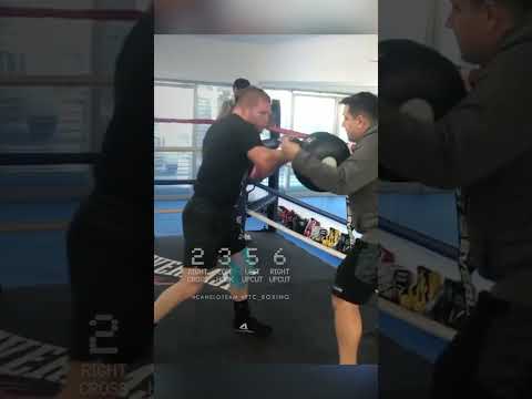 DESTROY the Punch Shield like Canelo… 🥊