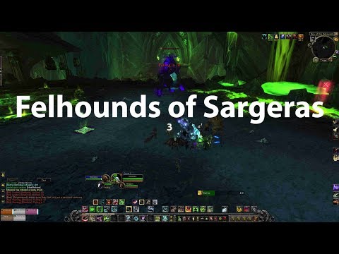 Felhounds of Sargeras - BM Hunter PoV