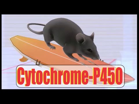 Cytochrome-P450 Interactions (Mnemonic)