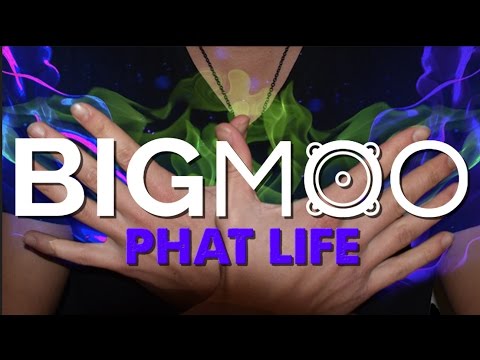 BIGMOO - PHAT LIFE