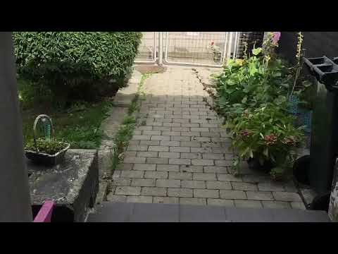 Udpakning af dagligvare fra nemlig