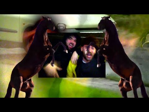 Video thumbnail for DICH MAG KEINER