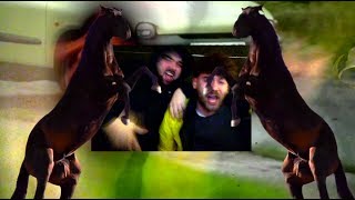 FELLY & Drunken Masters - DICH MAG KEINER (feat. Carsten Chemnitz)