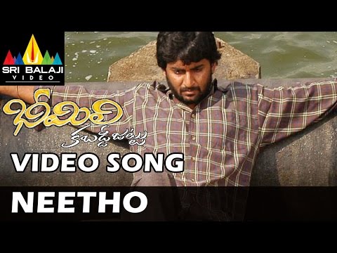 నీతో నీడల్లే