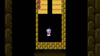 Hidden Cheat Code in Super Mario 2! 🔥