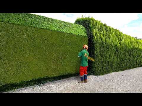 Satisfying Videos Of Workers Doing Their Job Perfectly