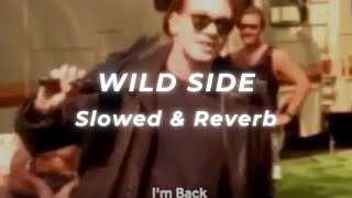 Download lagu Mötley Crüe - Wild Side (Slowed and Reverb) mp3 Download lagu Mötley Crüe - Wild Side (Slowed and Reverb) mp3