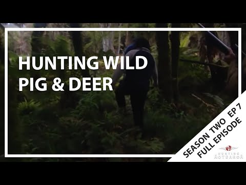 Hunting Aotearoa S02EP07 - Hunting Wild Pig & Deer