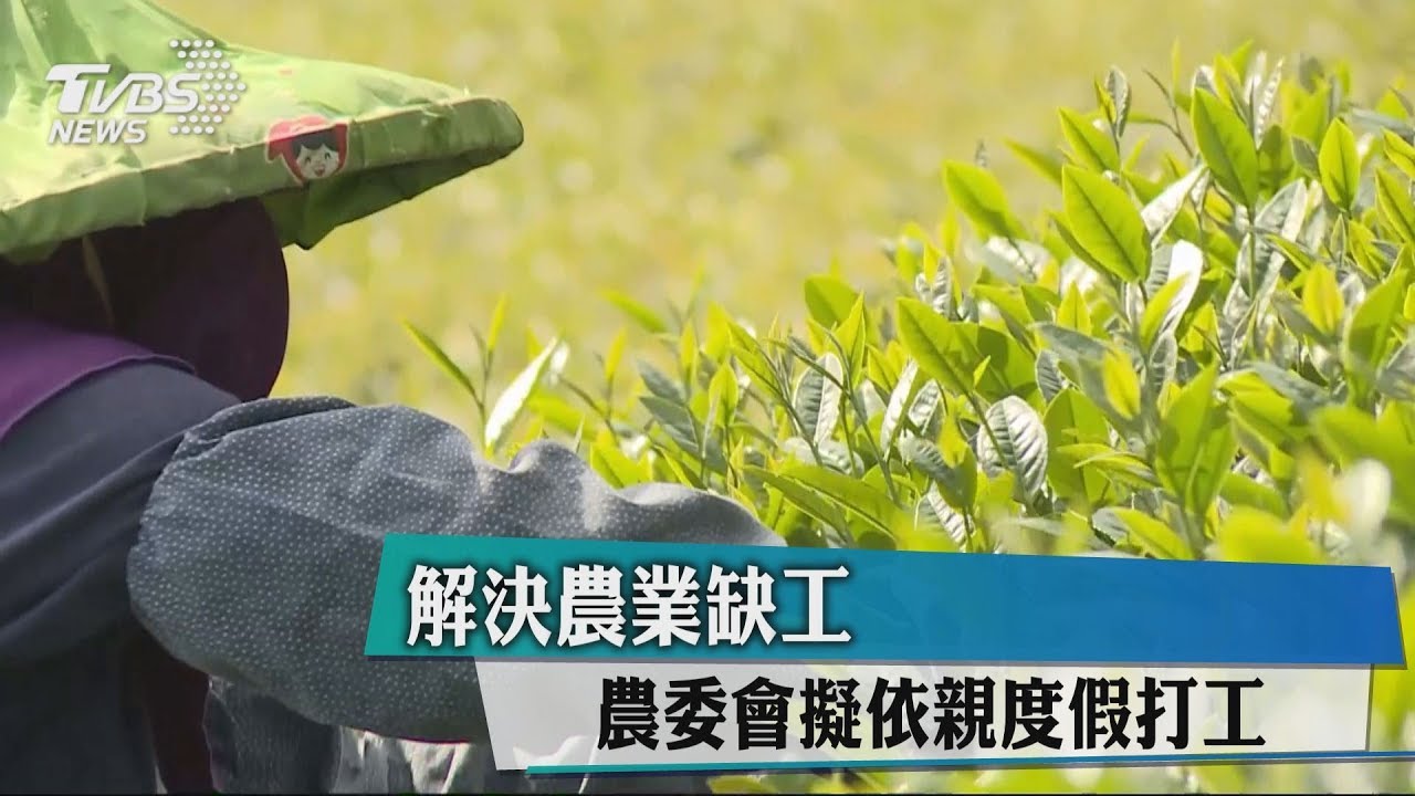 解決農業缺工 農委會擬依親度假打工